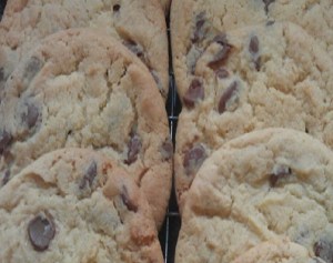milk cookies selection6